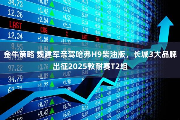 金牛策略 魏建军亲驾哈弗H9柴油版，长城3大品牌出征2025敦耐赛T2组